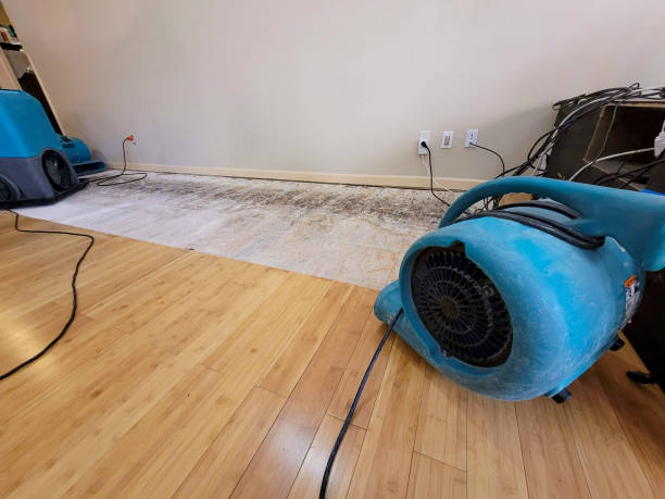 Professional Water Damage Repair technician working in Delmont, PA
